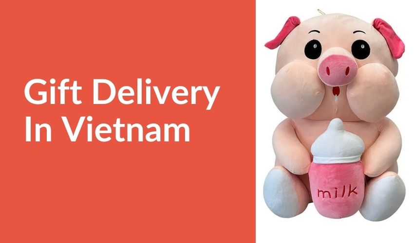 Gift Delivery In Vietnam