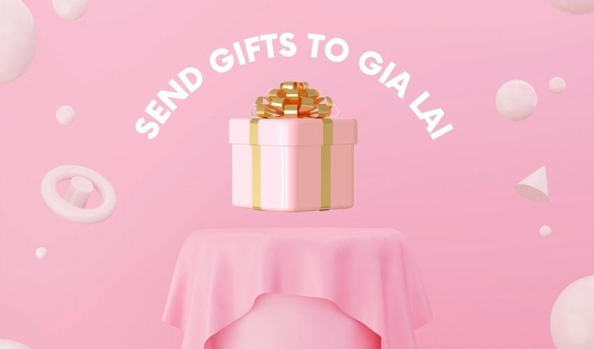 Send Gifts To Gia Lai