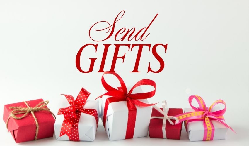 Send Gifts To Lang Son