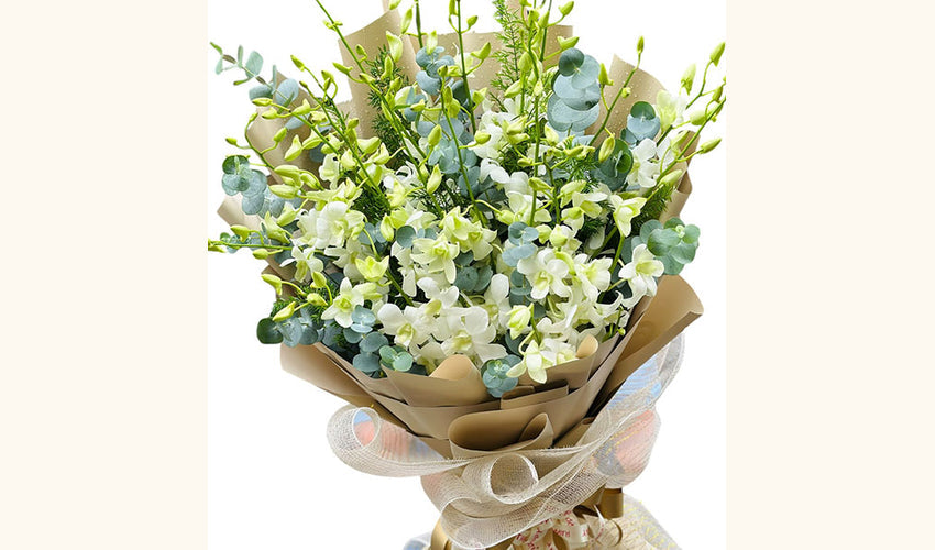 Gifts for Seniors in Vietnam — gift delivery Vietnam