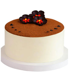 Tiramisu Cakes Vietnam