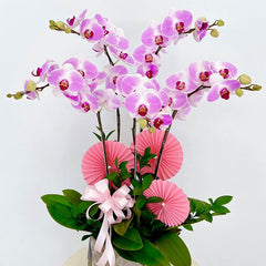 Mother’s Day Potted Orchid Vietnam