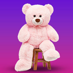 Teddy Bears Vietnam