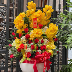 Tet Flower Vietnam