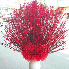 Tet Singapore Peach-Tree