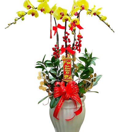 03 Stems Yellow Orchid Pot Tet Vietnam