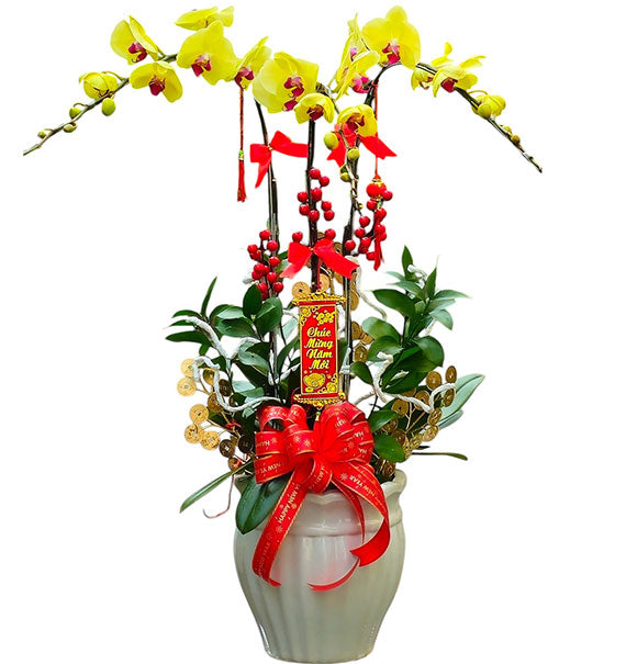 03 Stems Yellow Orchid Pot Tet Vietnam