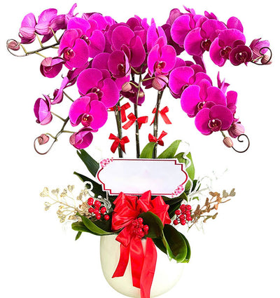 05 Stems Purple Orchid Pot Tet