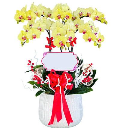 06 Stems Yellow Orchid Pot Tet