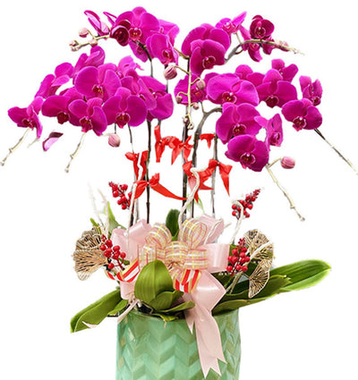 07 Stems Purple Orchid Pot Tet