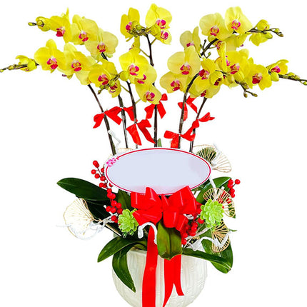 07 Stems Yellow Orchid Pot Tet Vietnam