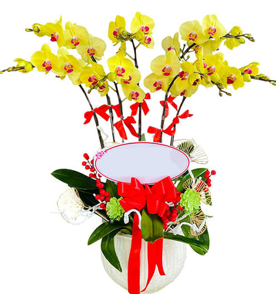 07 Stems Yellow Orchid Pot Tet