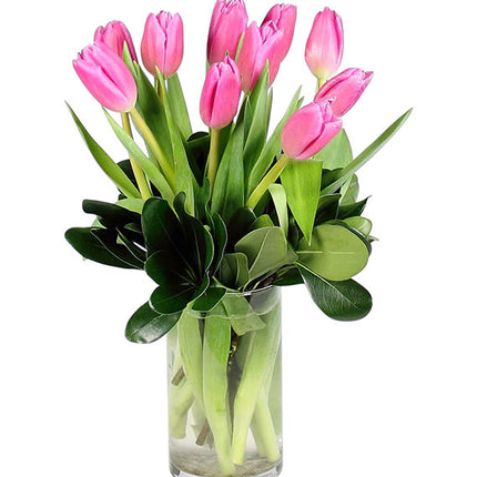 10 Pink Tulips In Vase Vietnam