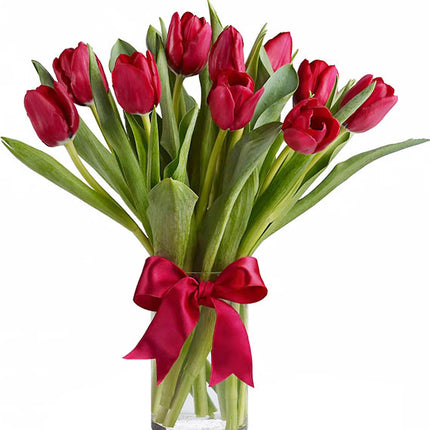 10 Red Tulips In Vase Vietnam