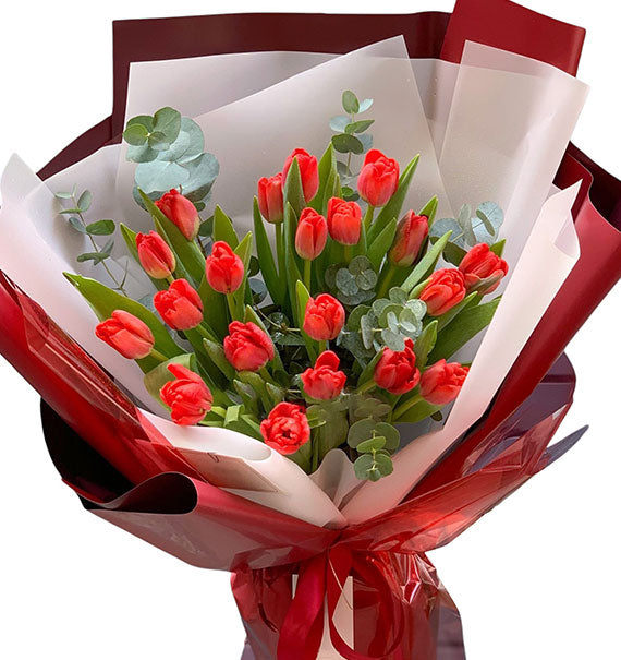 20 Red Tulips Bouquet Vietnam