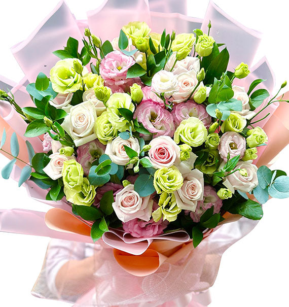 24 Peach Roses For Women's Day Vietnam