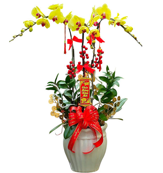 3 Stems Yellow Orchid Plant For Women’s Day Vietnam