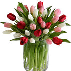 Red & Pink & White