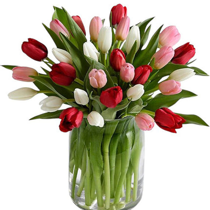 Tulips In Vase