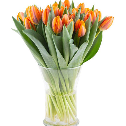 Tulips In Vase