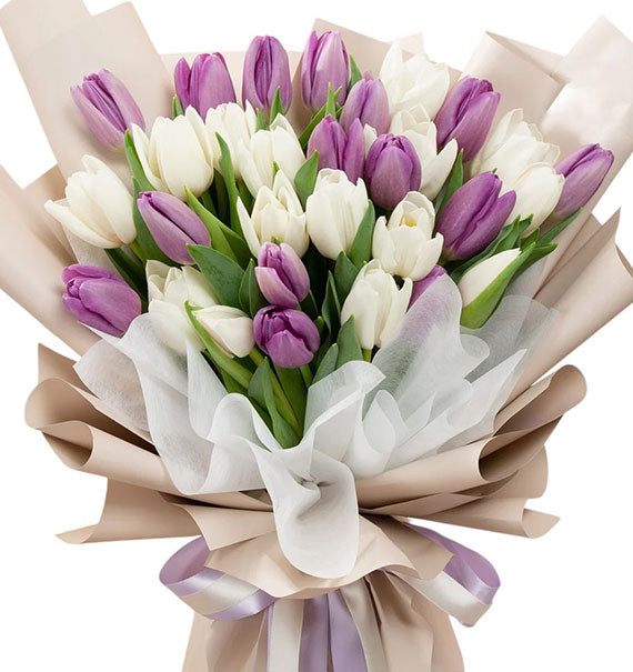 30 Purple and White Tulips Bouquet Vietnam