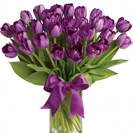 Tulips In Vase