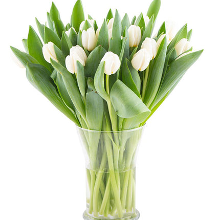 Tulips In Vase