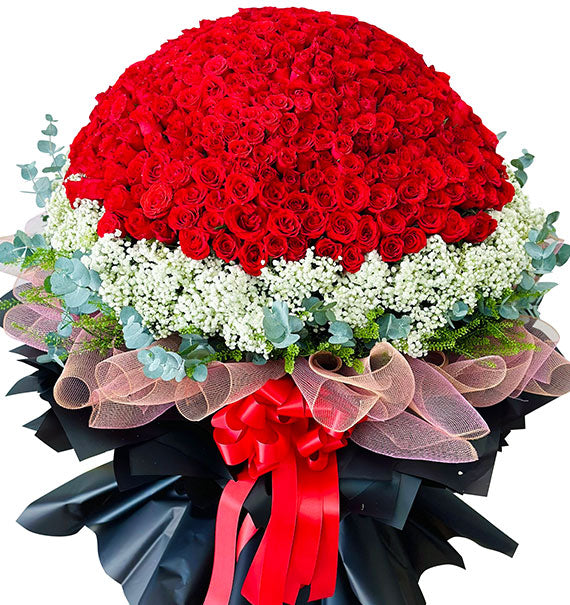 520 Red Roses Bouquet Vietnam