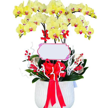 6 Stems Yellow Orchid Plant For Women’s Day Vietnam