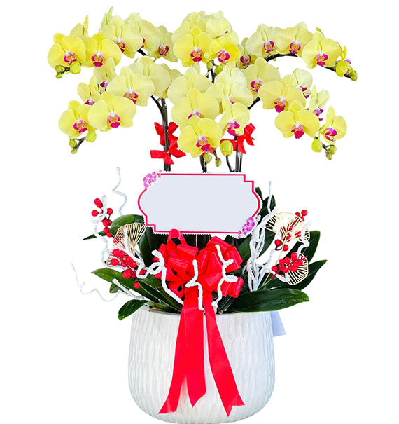 6 Stems Yellow Orchid Plant For Women’s Day Vietnam