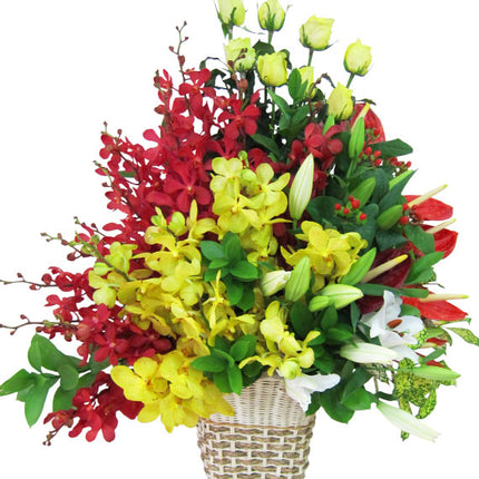 Anniversary Orchid Basket Vietnam