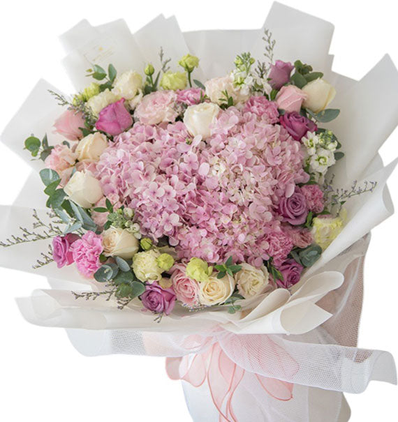 Baby Pink Hydrangeas Vietnam