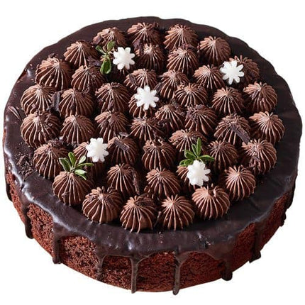 Banana Walnut Brownies Chocolate Galaxy Vietnam