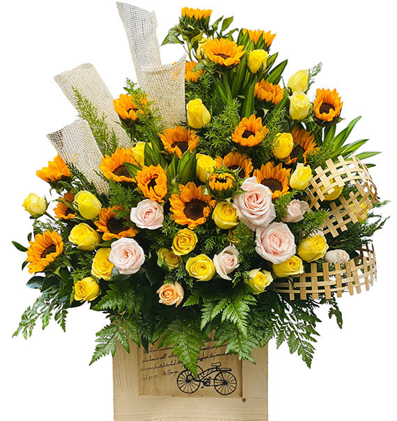 Be In Love Sunflowers Vietnam