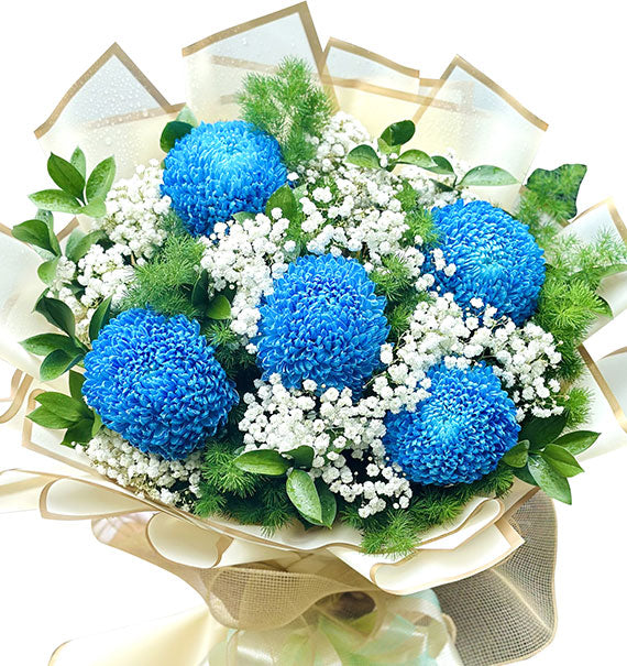 Be Mine Valentine Bloom Vietnam