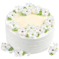 Beautiful Green Cake Savoure Vietnam