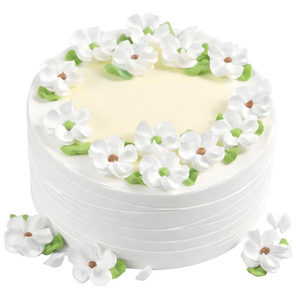 Beautiful Green Cake Savoure Vietnam