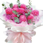 Pink Peony Chrys