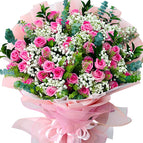 48 Pink Roses