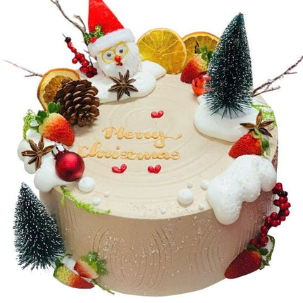 Best Wishes Cake Xmas Vietnam