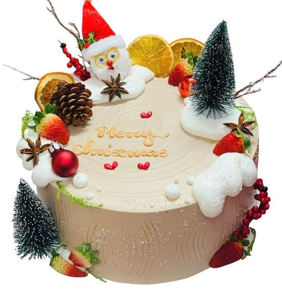 Best Wishes Cake Xmas Vietnam