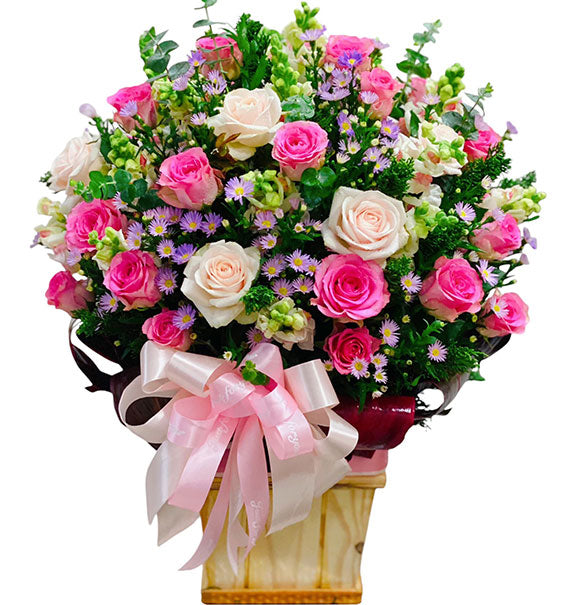 Blooming Garden Flowers Vietnam