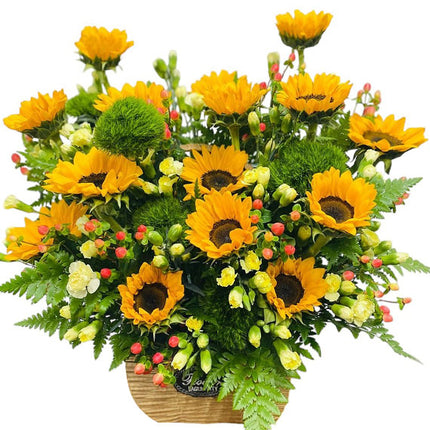 Blooming Wishes For Tet Festival Vietnam