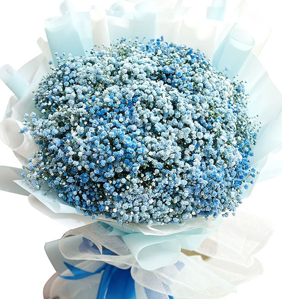 Blue Baby's Breath Bouquet Vietnam