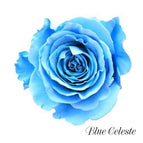 48 stems / Blue Celeste