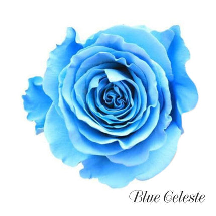 Light Blue Ecuador Rose Bouquet (Pre-Order)