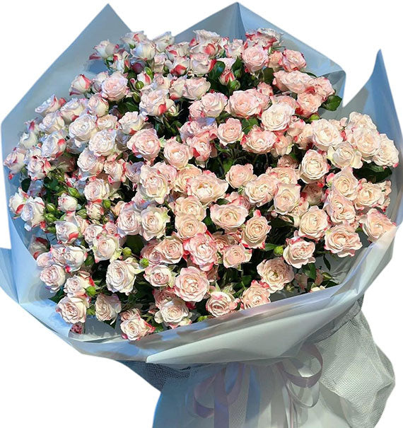Blush Pink Spray Roses For Vietnamese Women's Day