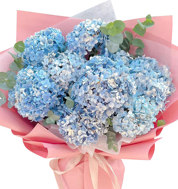 Bouquet of Hydrangea For Mother’s Day Vietnam