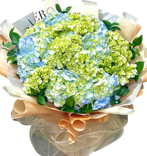 Bouquet of Hydrangea For Mother’s Day Vietnam
