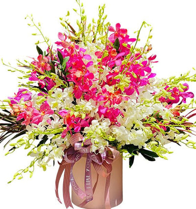 Cheering Blooms